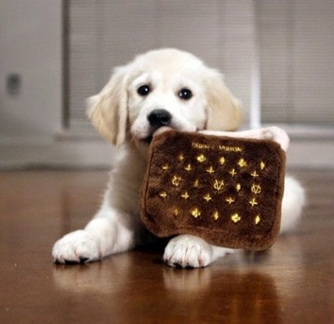 Cases of Interest: Louis Vuitton Malletier v. Haute Diggity Dog - The Fashion Law